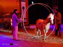 Circus YAKARI Show am 04.10.2024